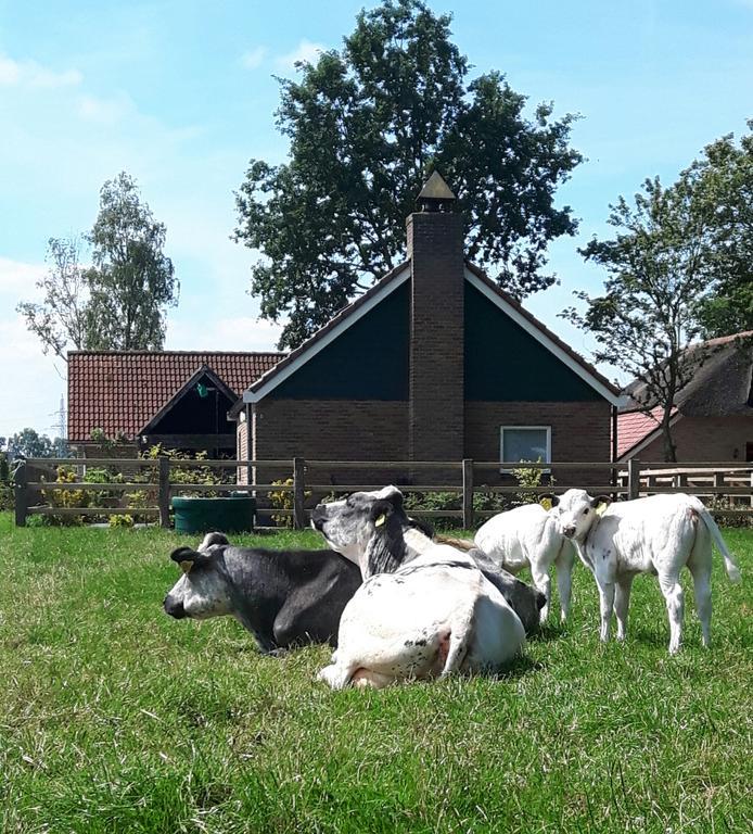 Вилла Het Kleine Landgoed Haarle Экстерьер фото